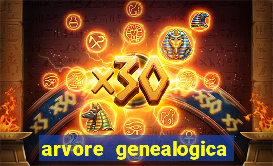 arvore genealogica dos gracie